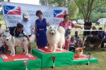 Meilleur du Groupe 5 Brives-Charensac 2018